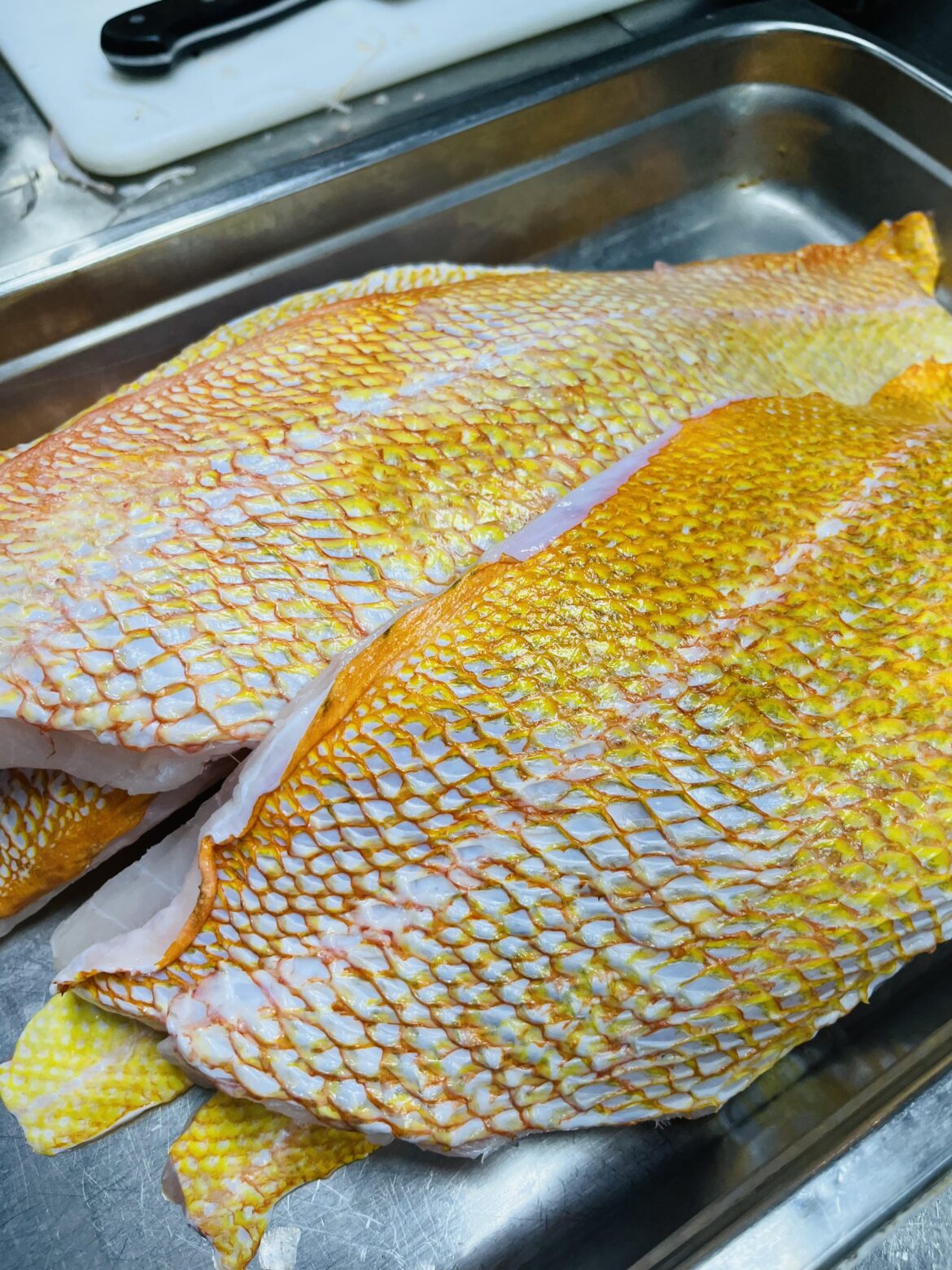 This wild yellow snapper might be the prettiest fish I’ve ever seen.