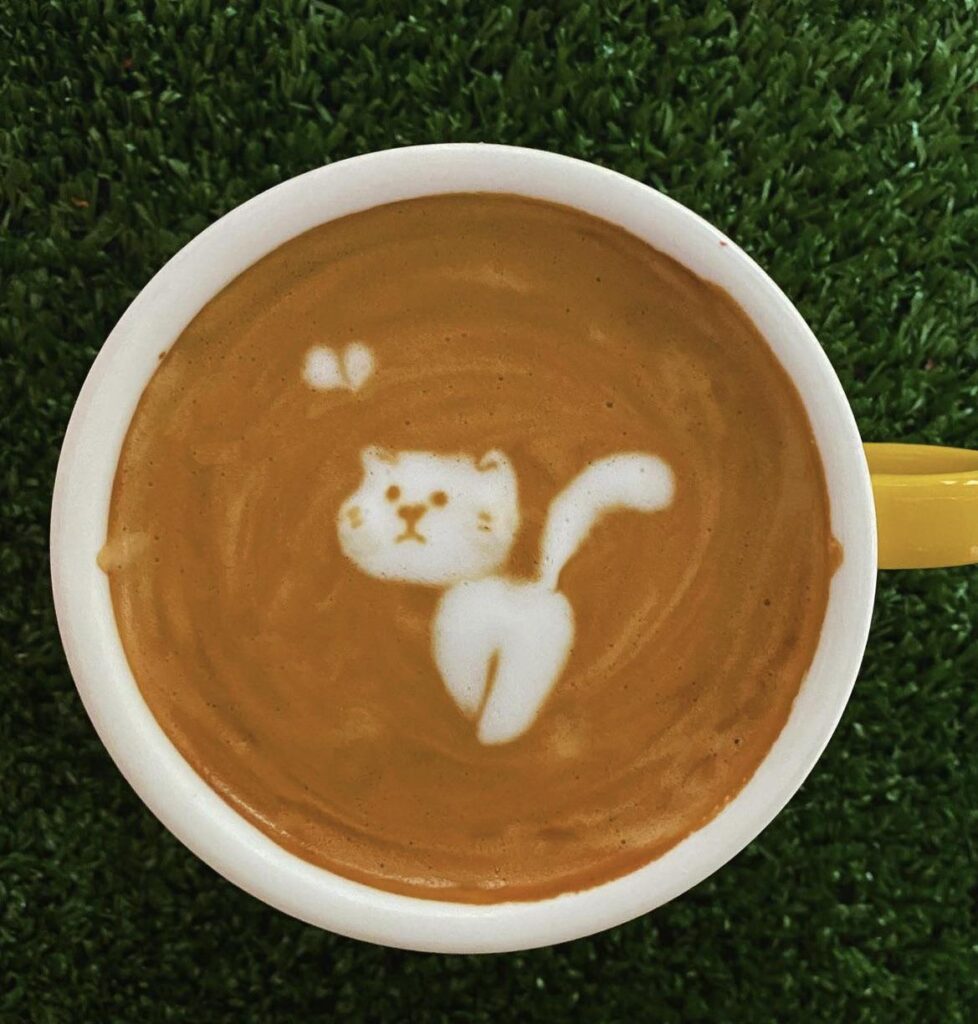 Found this cutie today