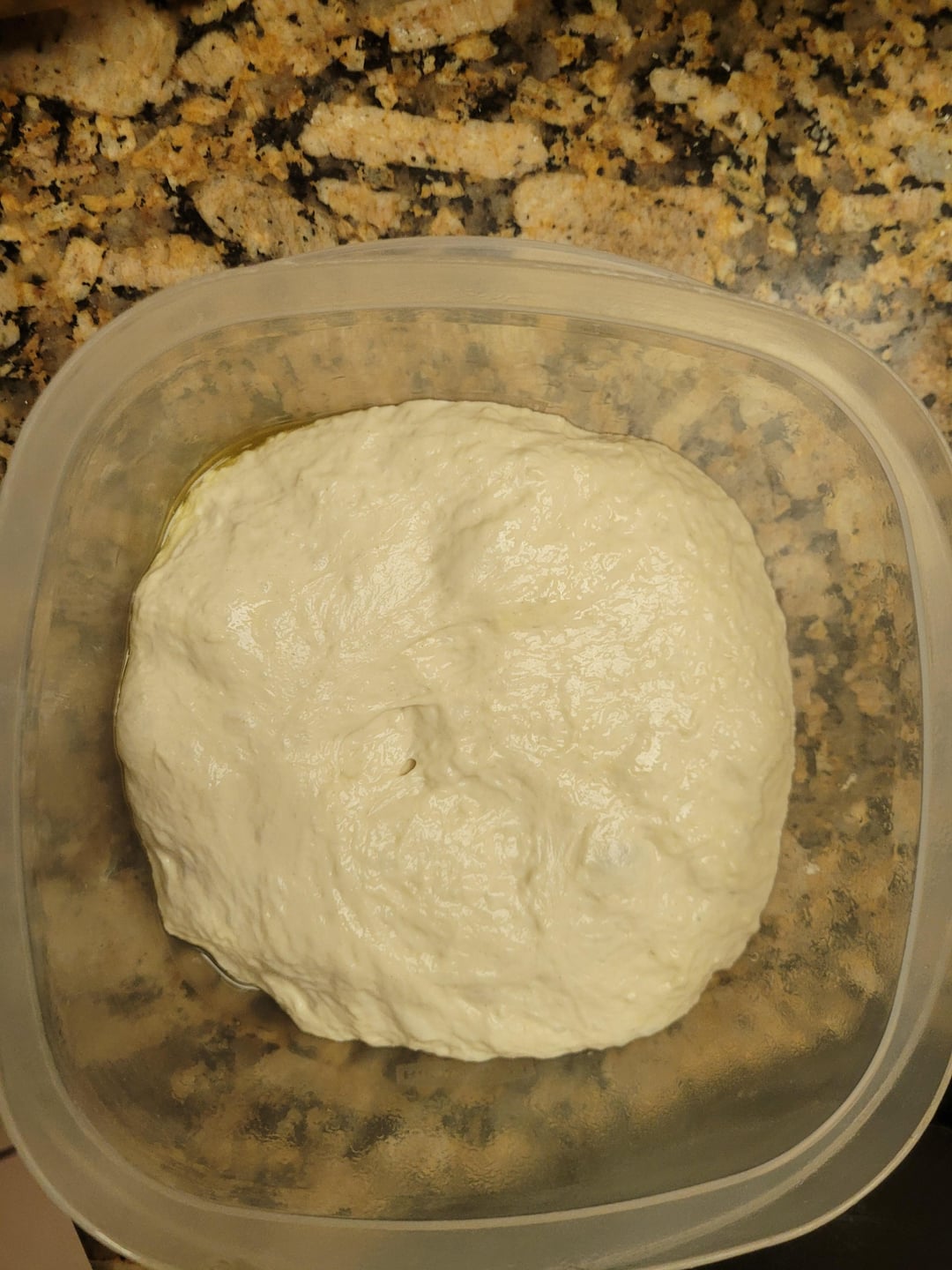 50 Lower Calorie Bread!? Fiber Gourmet vs King Arthur Bread Flour Artisan Bread Test