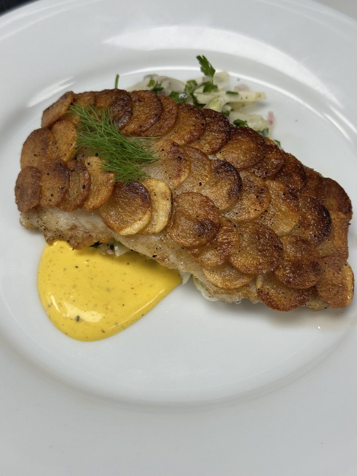 potato “scale” crusted branzino with saffron aioli and shaved fennel salad