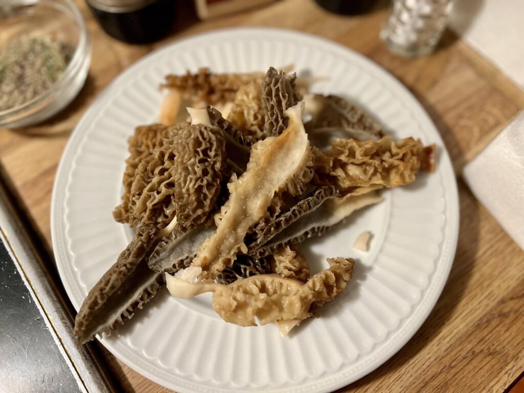 Just some loose morels