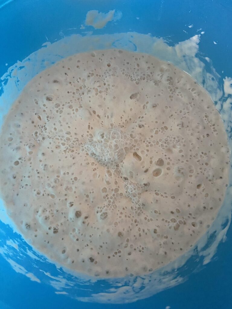 Poolish and Biga homemade pizzas ! Greetings fron Greece !