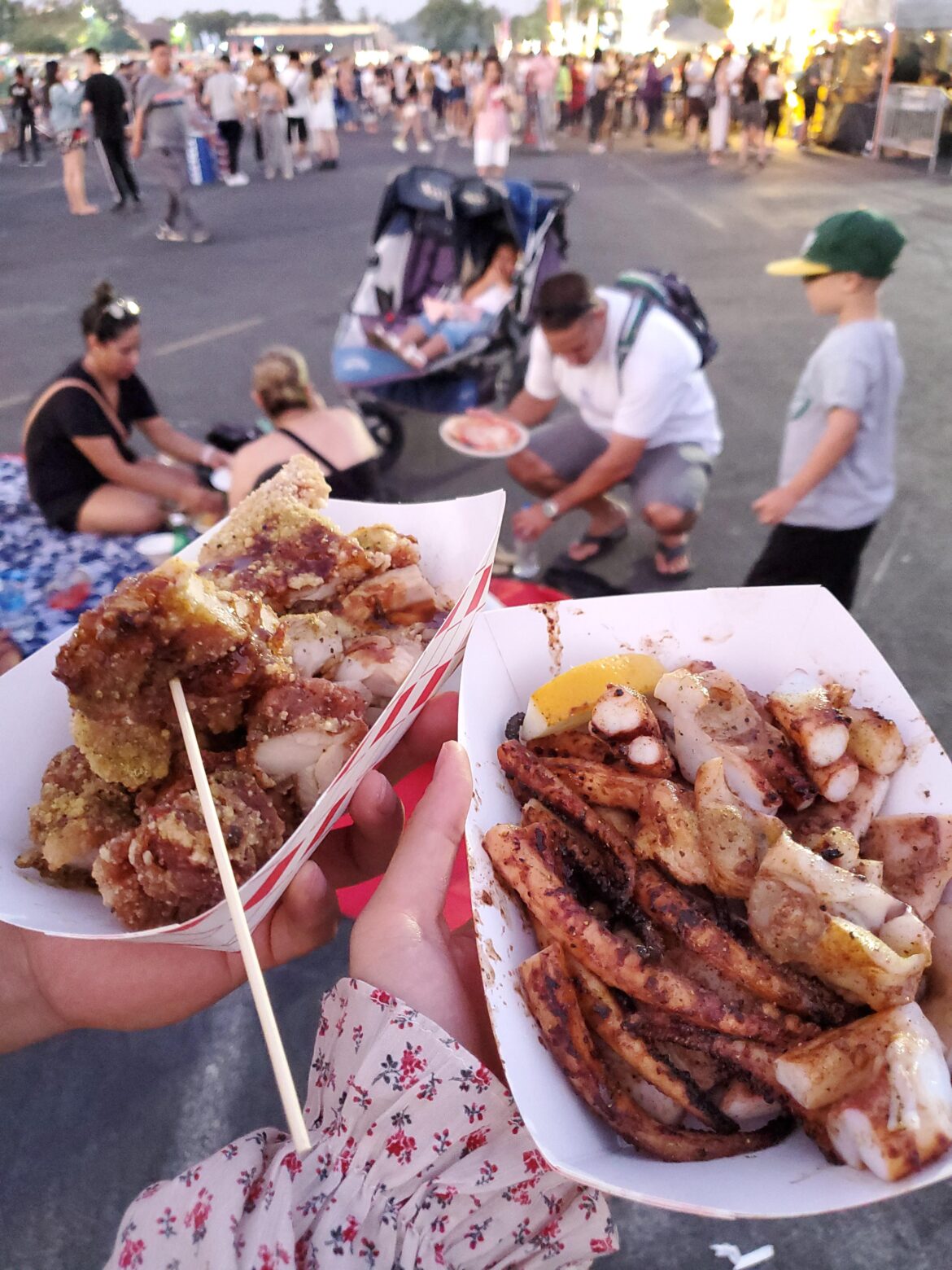 Taiwanese fried chicken and grilled squid