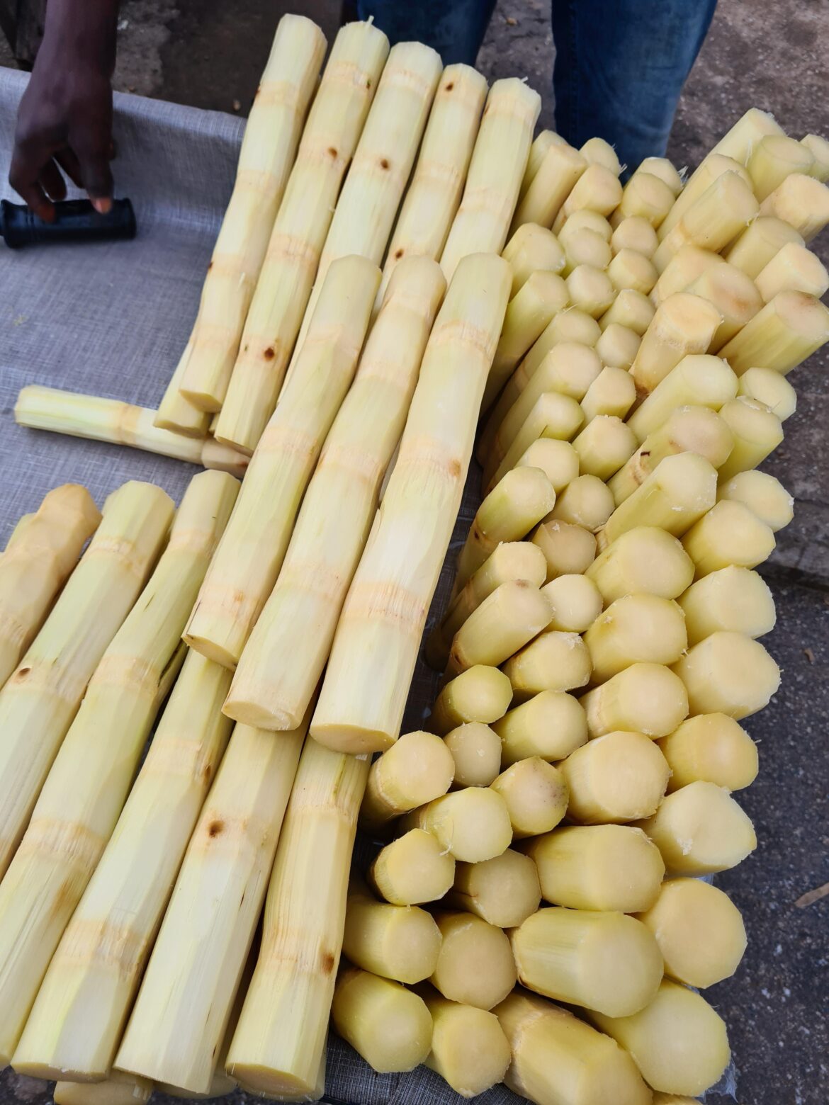 Sugarcane in Nigeria