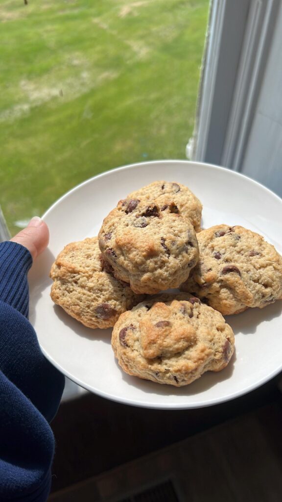 Discard Chocolate Chip Cookies!