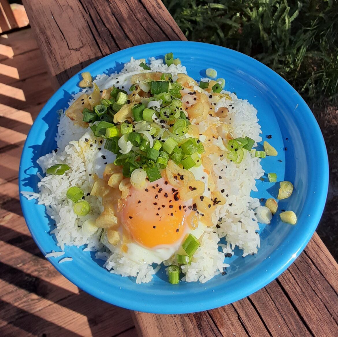 eggs on rice with carnalized garlic, green onions, and black garlic felt like y'all might enjoy.