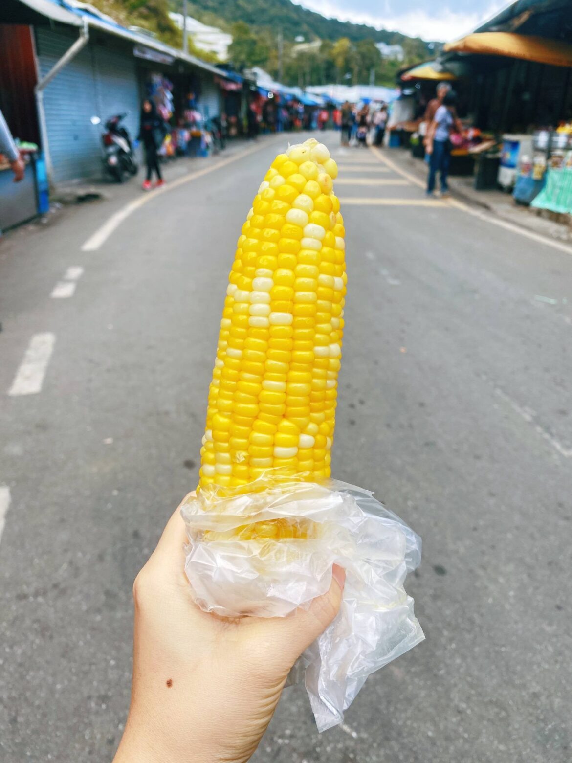 Pearl corn, Cameron Highlands