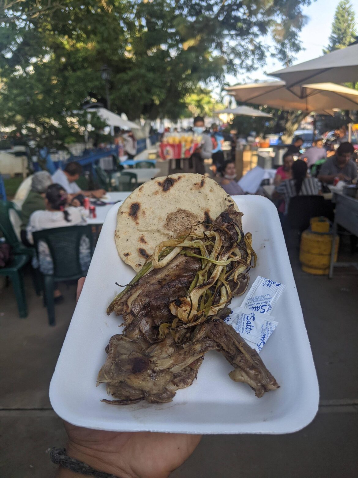 Iguana in Ataco, El Salvador.