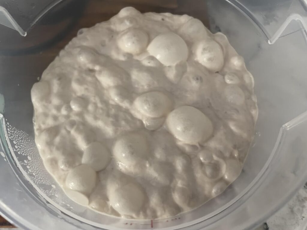 72 hour cold fermented dough.