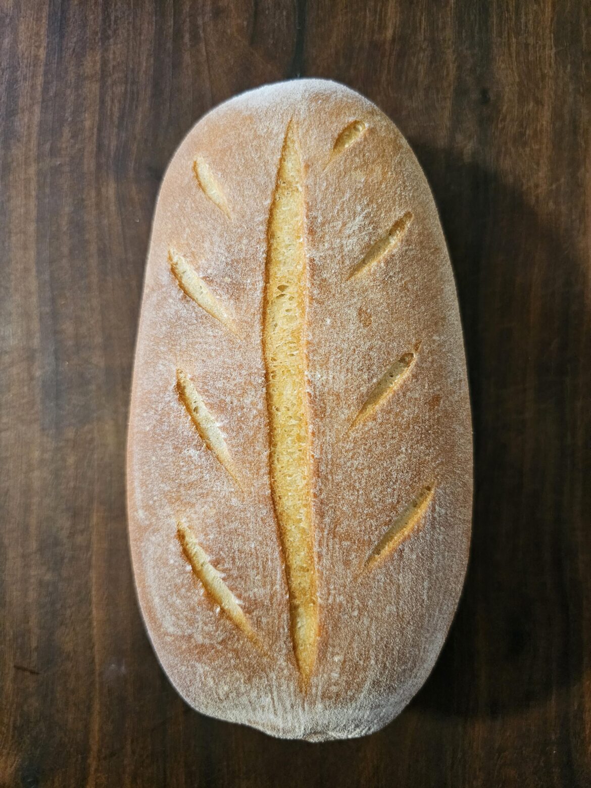 Rustic forest loaf from small elven bakery [OC]