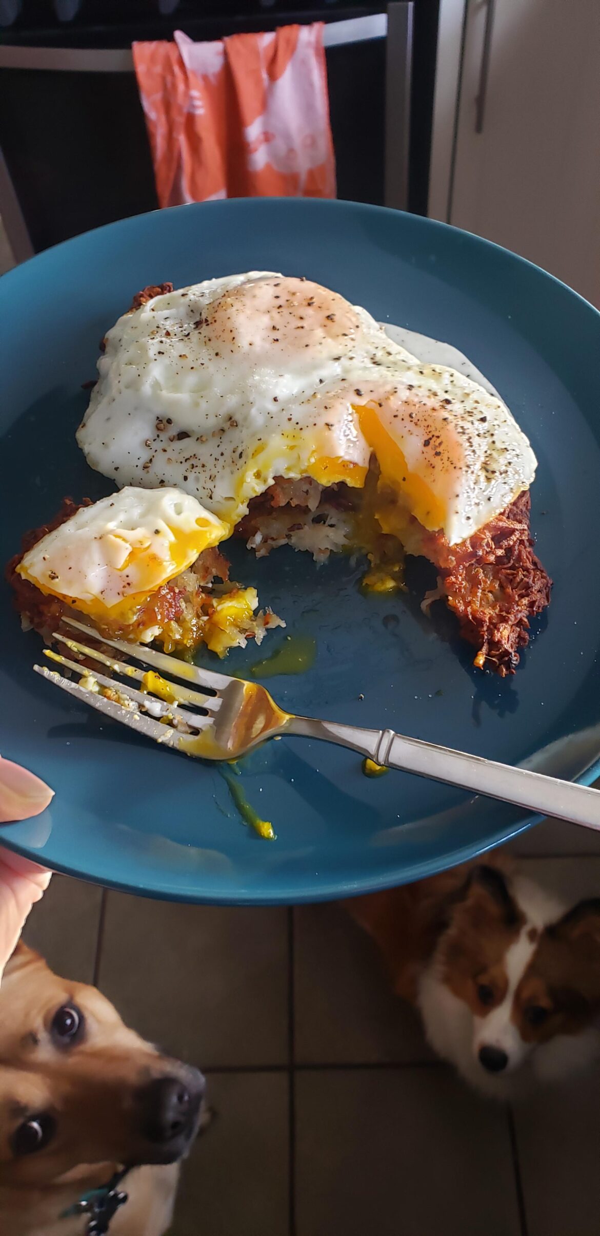 reheated leftover latkes in the airfryer + eggs = Hanukkah breakfast of champs