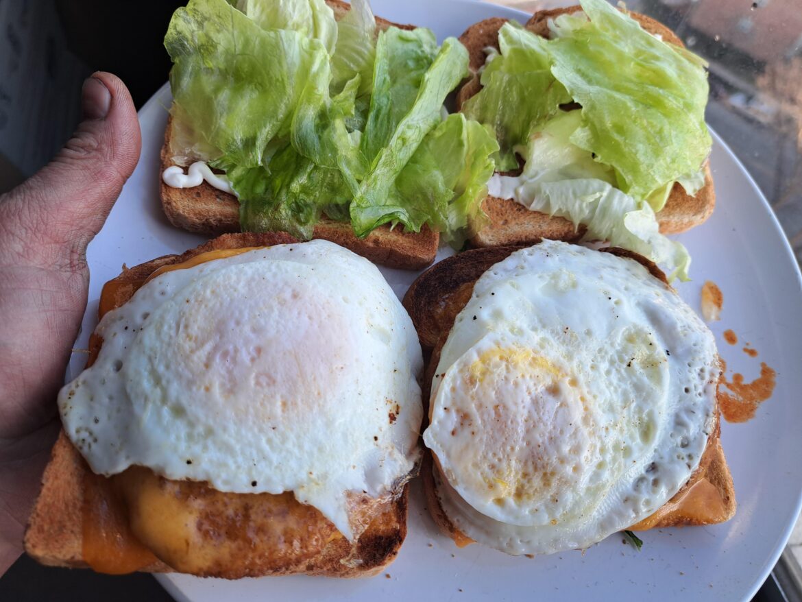 toasty chicken sandwich