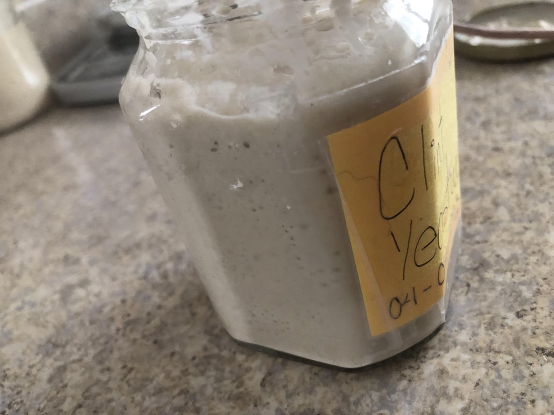 How do I know if my starter is ready to use? Dining and Cooking