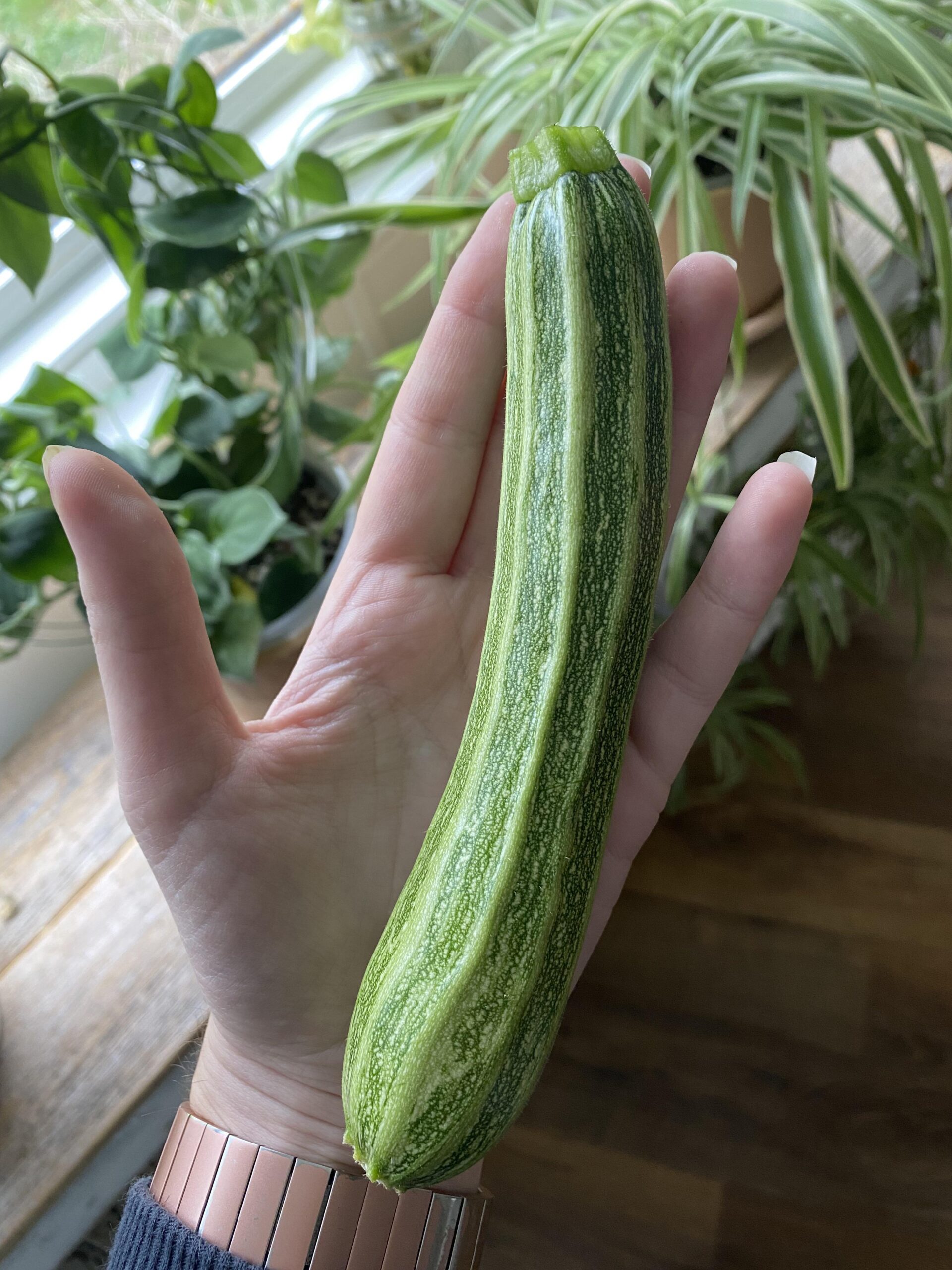 First zucchini I’ve ever harvested Dining and Cooking