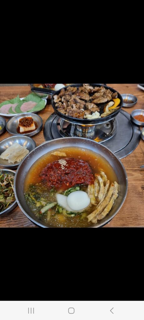 진주 냉면( jinju naengmyeon )