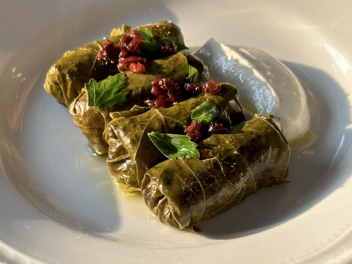 [Found] Grape leaves filled with rice and pine nuts, served with lemon yogurt and topped with barberries. Perfect for any ordinary elven occasion