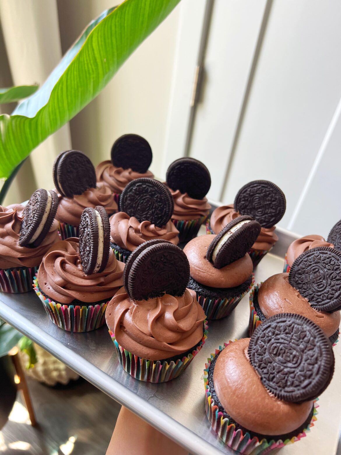 devil’s food cupcake🤎