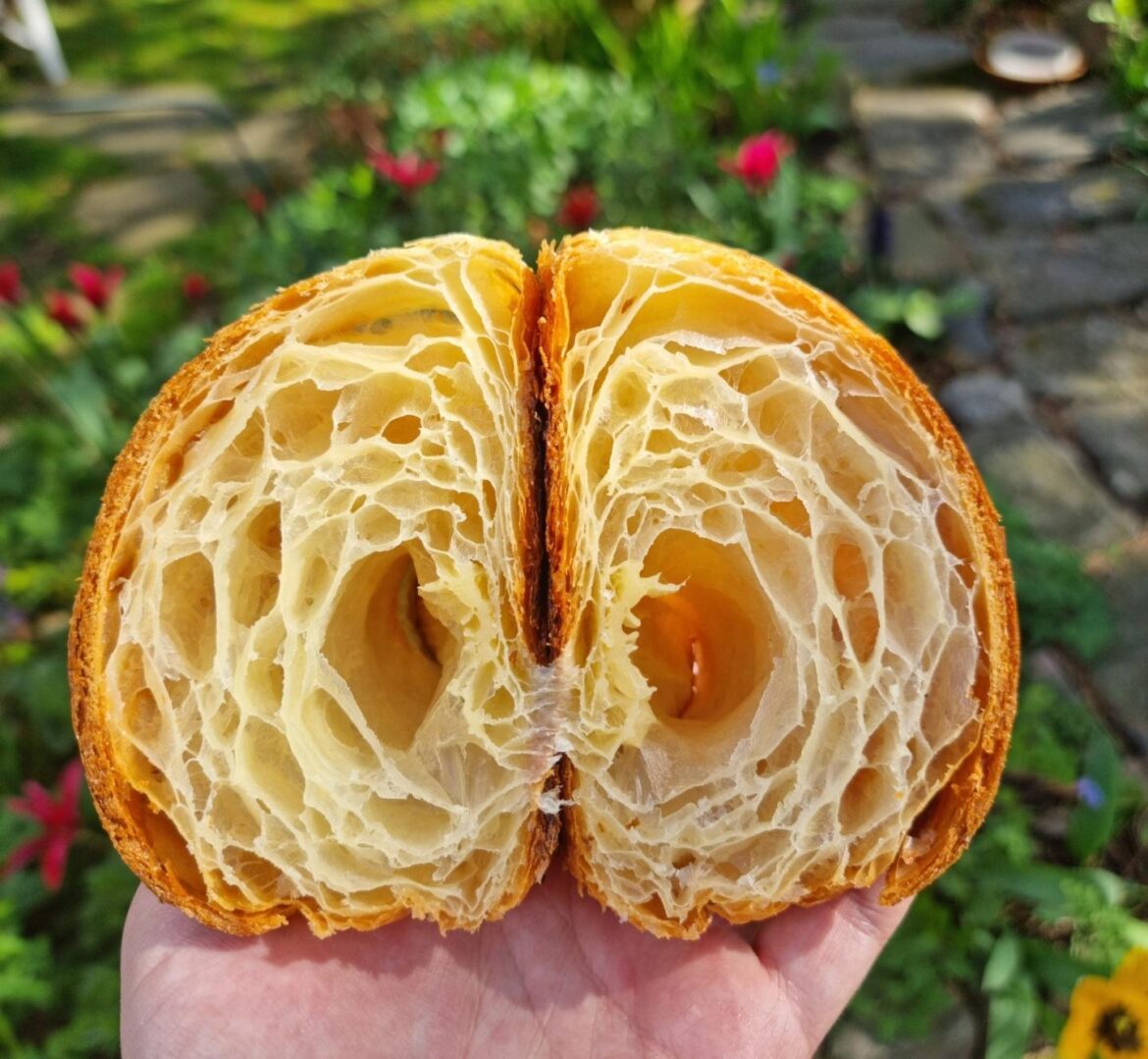 [Homemade] Nearly perfect croissant