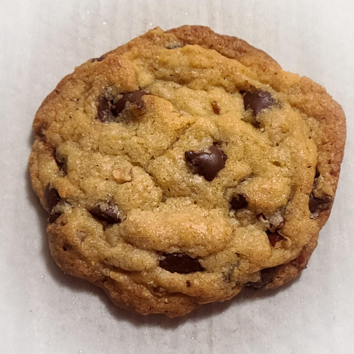A perfect chocolate chip cookie with browned, crisp edges and a chewy center