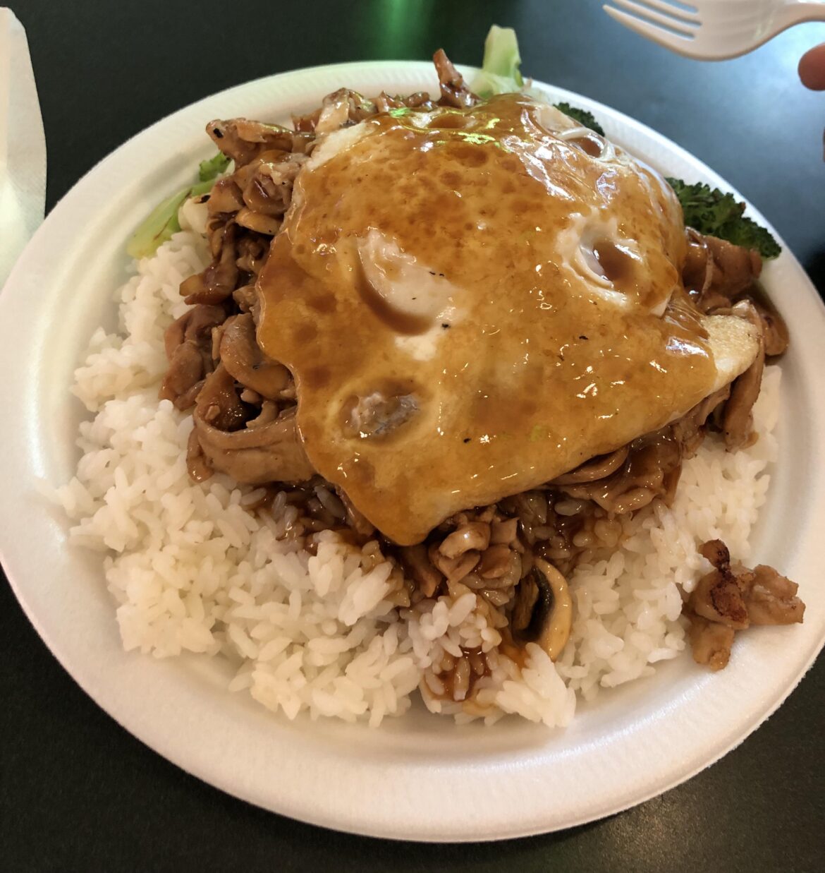 Chicken Teriyaki Rice with Egg