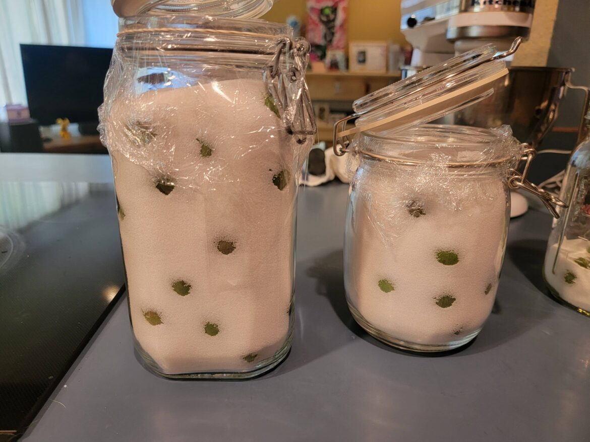 Don't forget to start your 매실/maesil