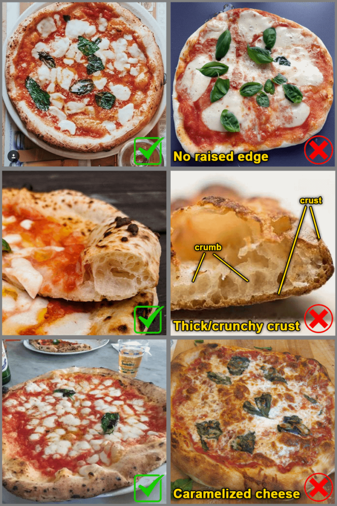 FAQ and Beginners Guide to Neapolitan Pizza