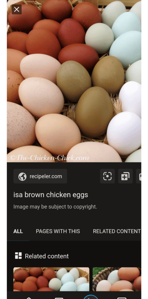 Eggs , what can I make with eggs besides de usual?