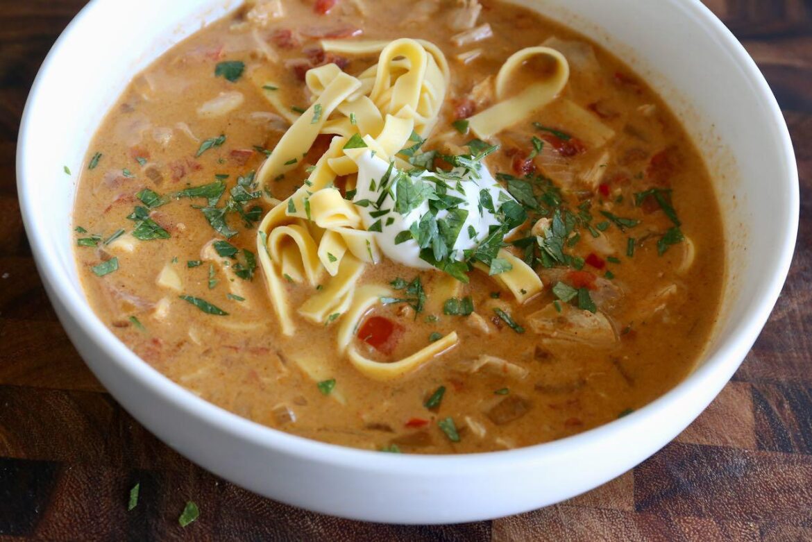 Creamy Hungarian Chicken Paprikash Noodle Soup