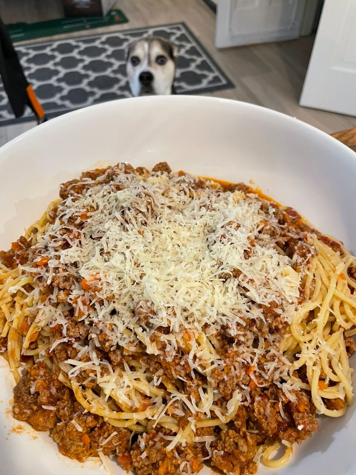Spaghetti Bolognese