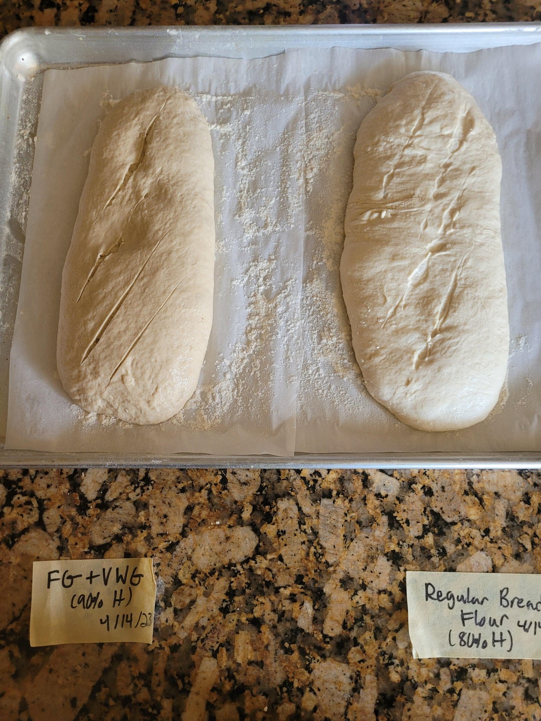 50 Lower Calorie Bread!? Fiber Gourmet vs King Arthur Bread Flour Artisan Bread Test