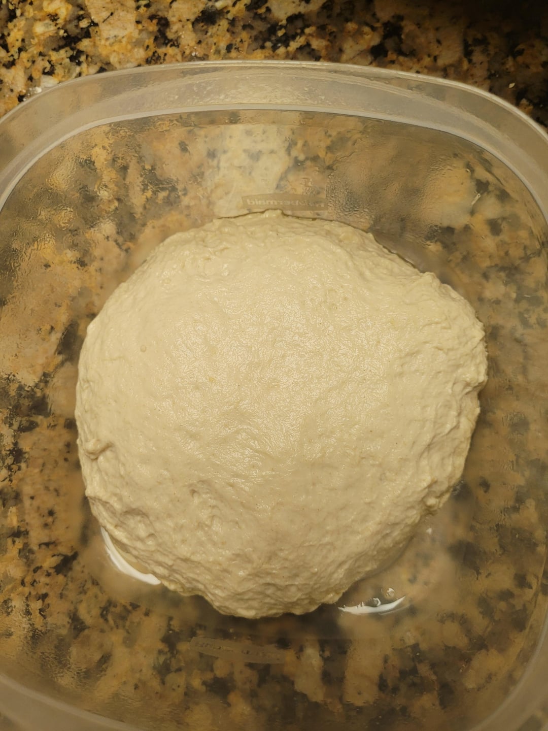 50 Lower Calorie Bread!? Fiber Gourmet vs King Arthur Bread Flour Artisan Bread Test