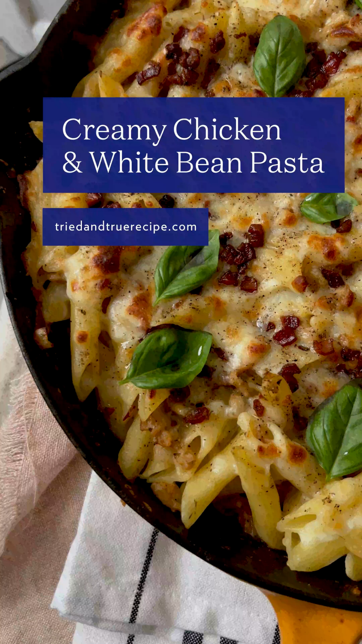 Creamy Chicken and White Bean Pasta