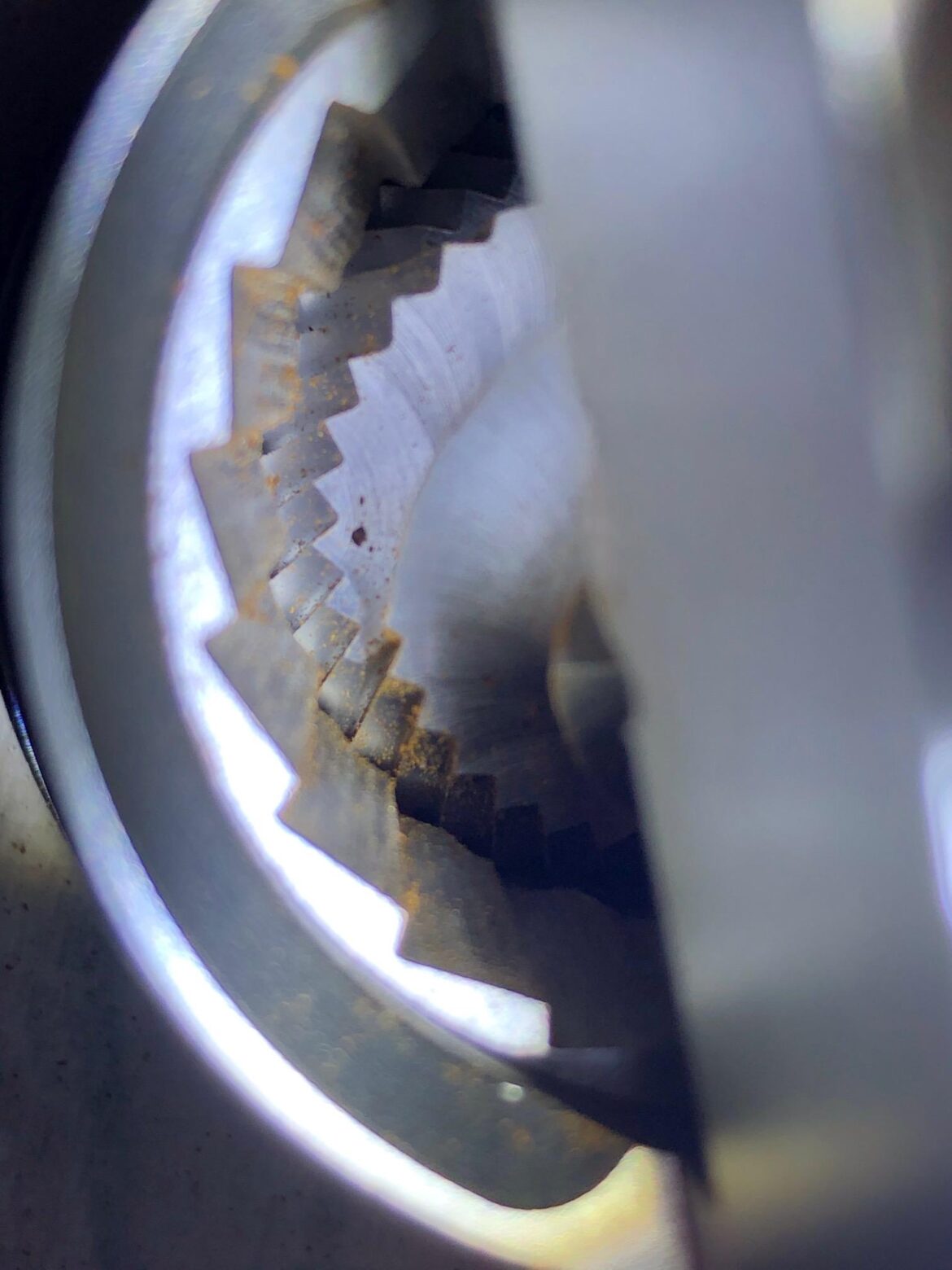 1zpresso Q burr after 3 years