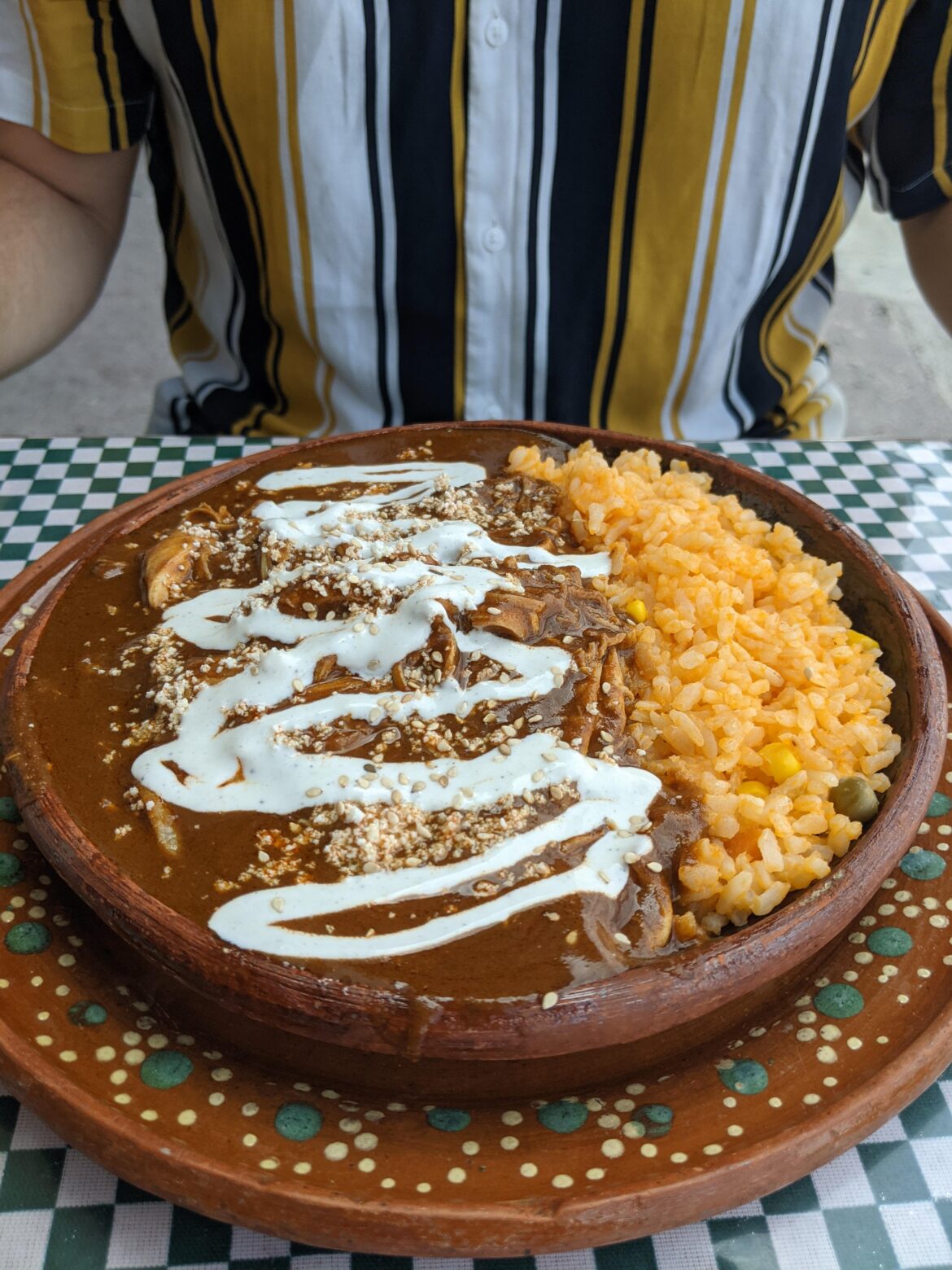Chicken Mole Enchiladas | Enmoladas de Pollo | in Playa Del Carmen