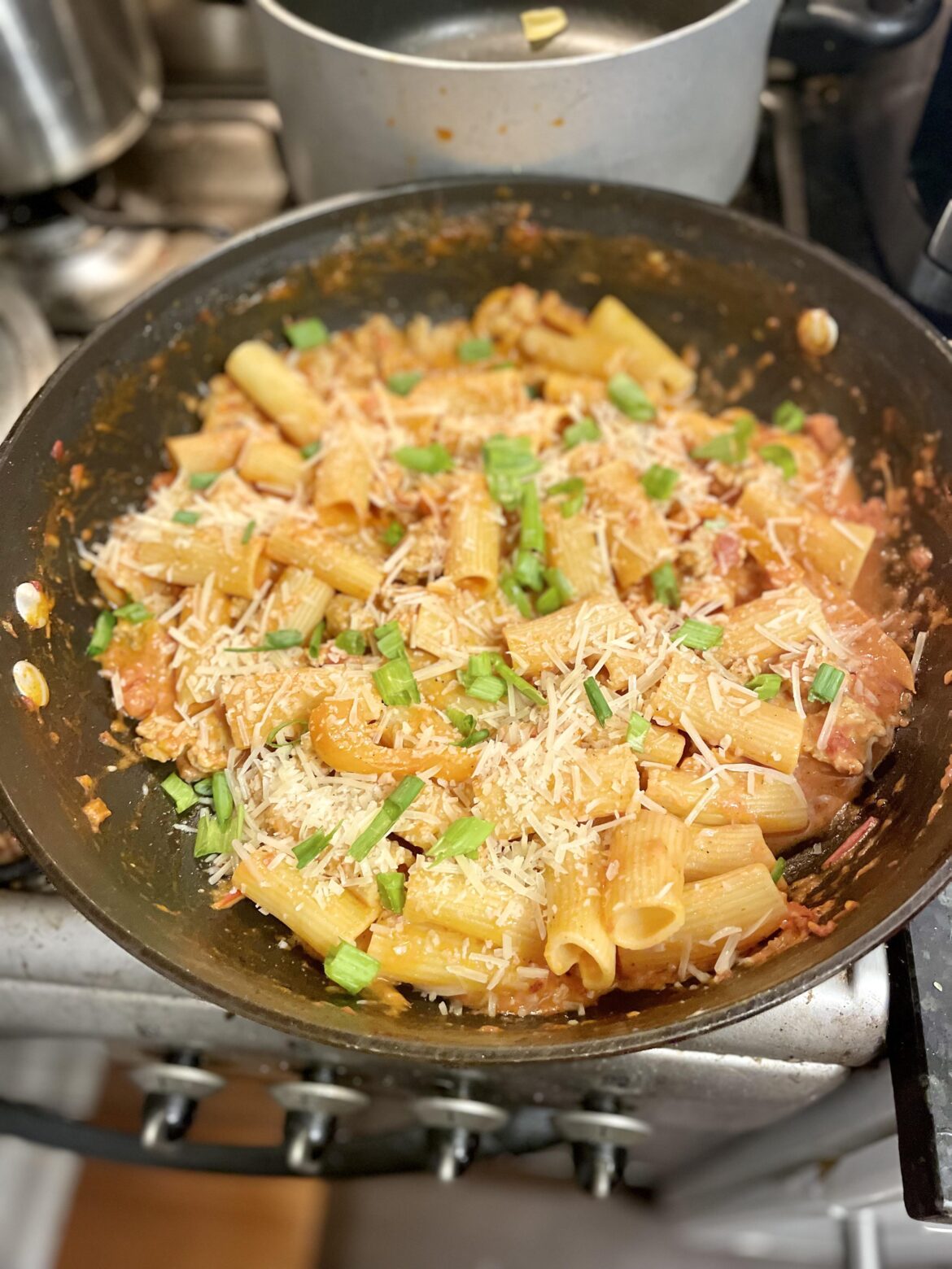 Chicken Sausage Rigatoni in Creamy Pink Sauce with Bell Pepper and Lemon 10/10