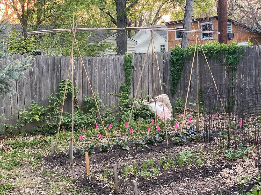 Put The Trellises Up. Dining and Cooking