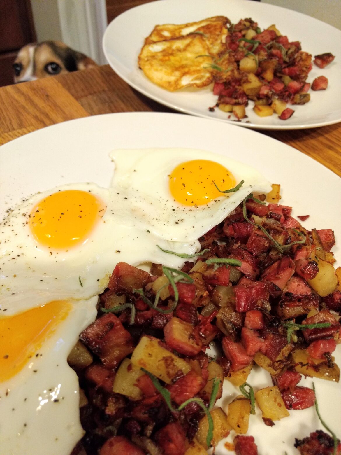 Corned beef hash and eggs
