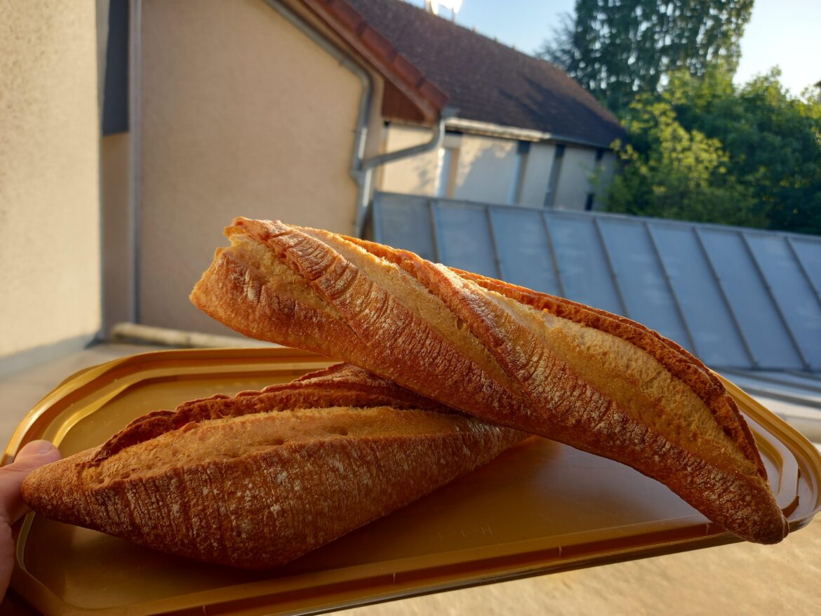 What to do with TONS of baguette?