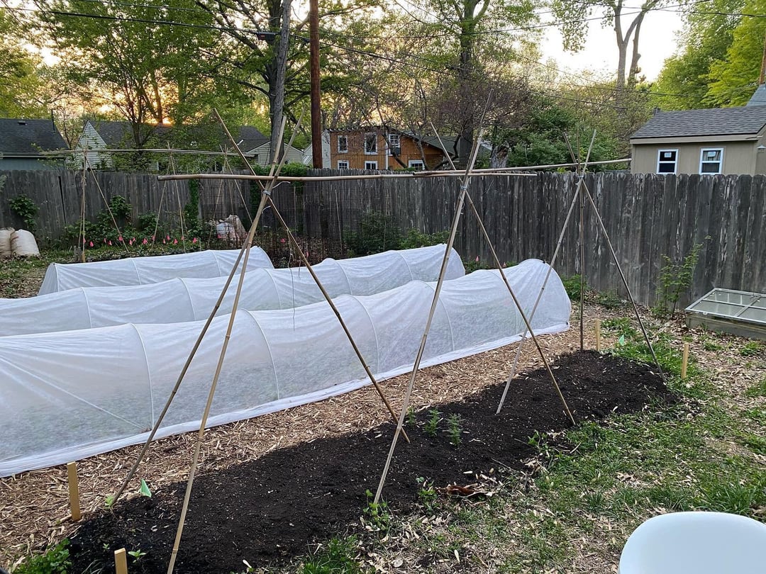 Put The Trellises Up. Dining and Cooking