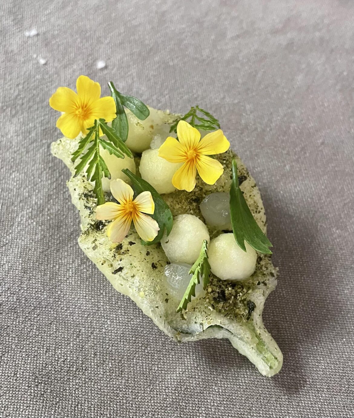 Oysterleaf tempura, granny smith, citrus