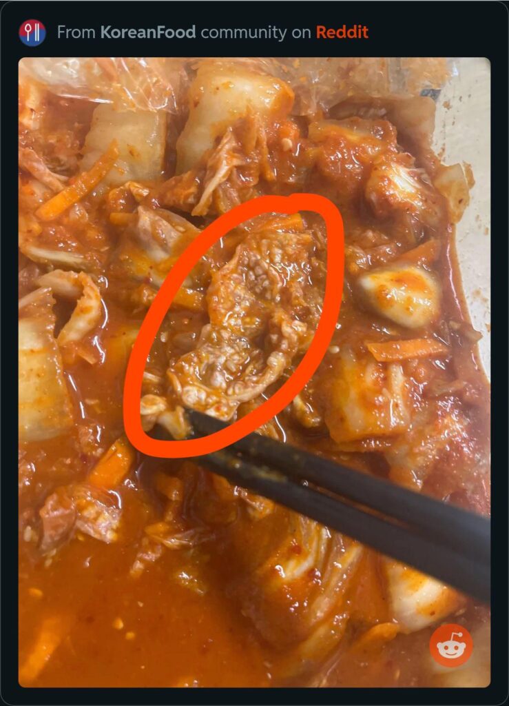 mold on kimchi?