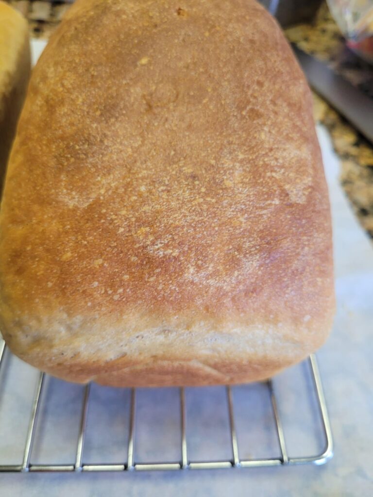 50 Cal/28g Slice Low Calorie Sandwich Bread | Fiber Gourment Flour Recipe