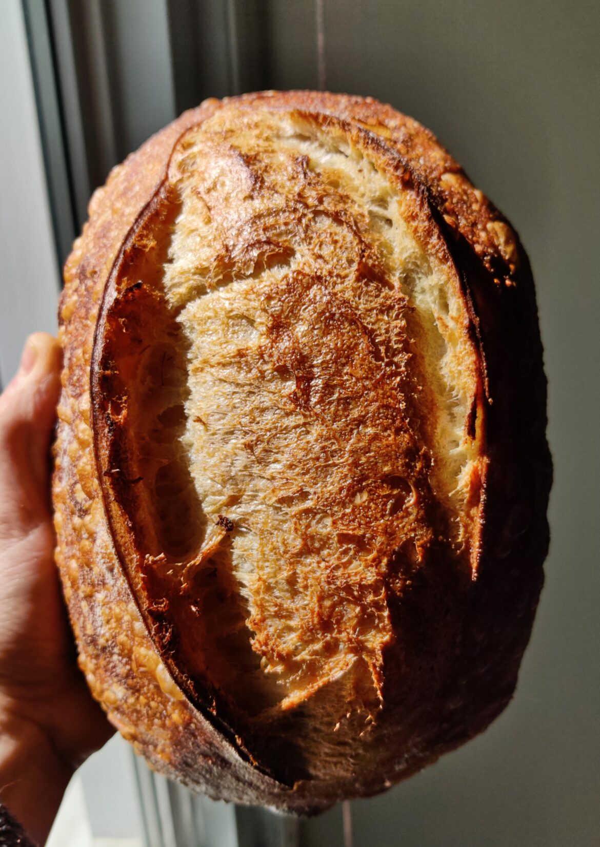 Shiny bread for a shiny weather.