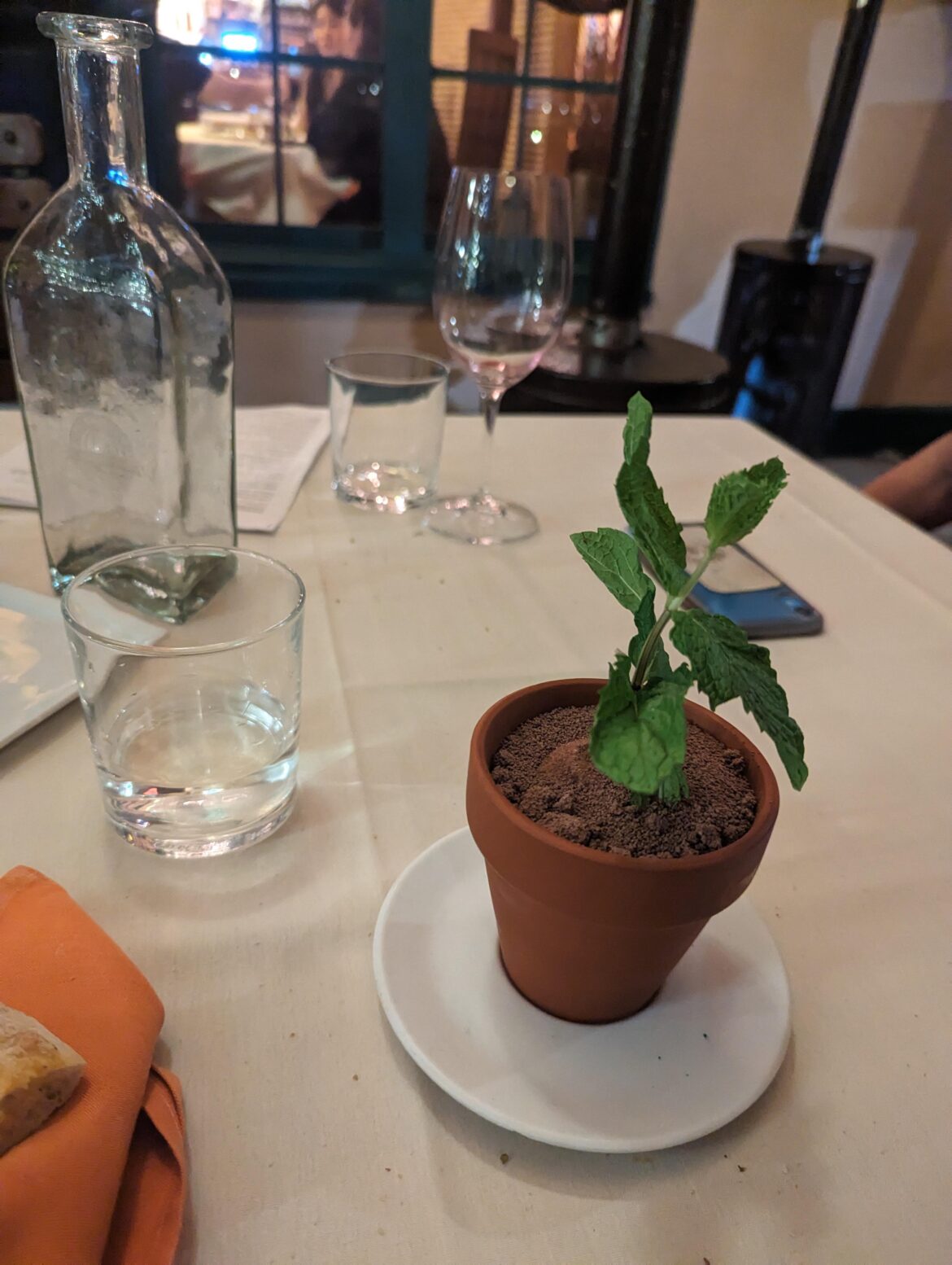 Tiramisu in a flower pot