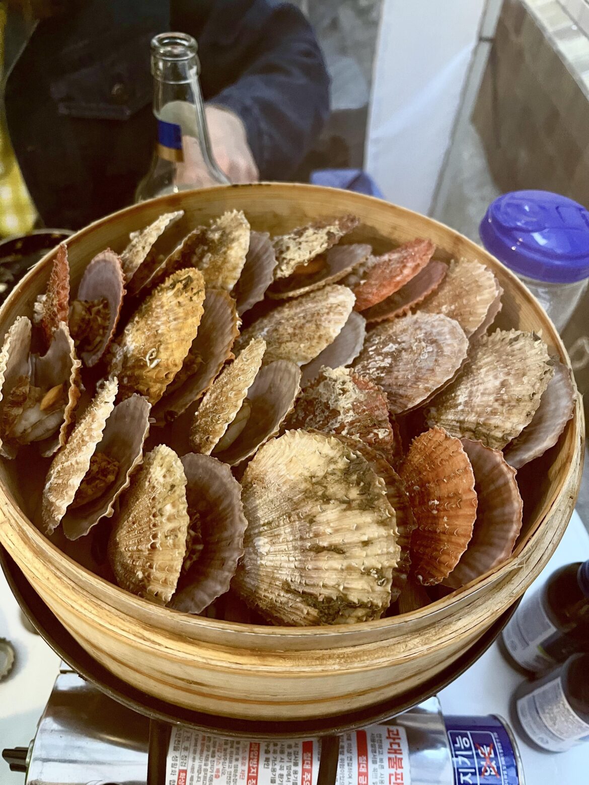 Scallops in 부산
