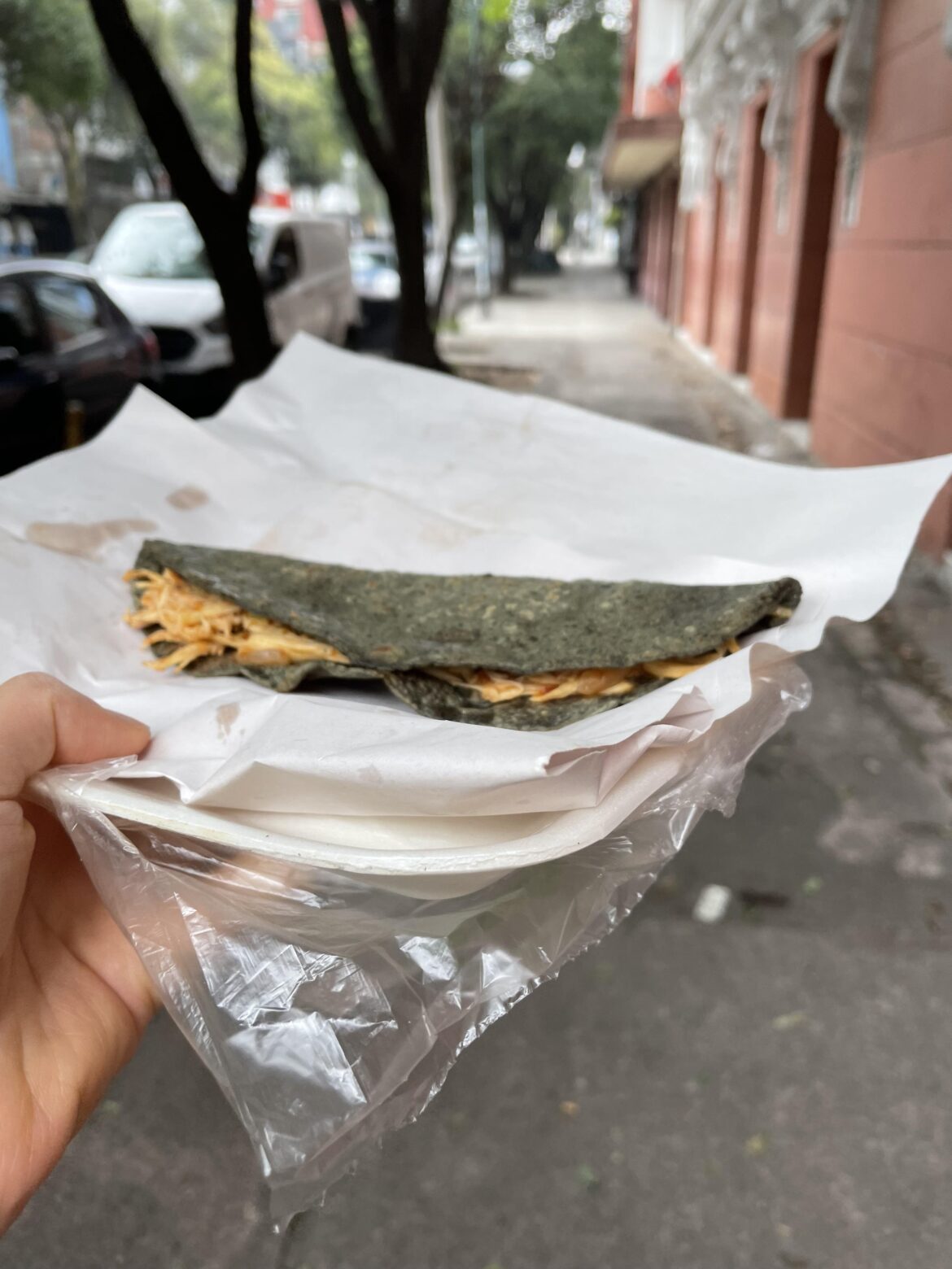 Chicken quesadilla in Mexico City. Made by the sweetest lady. Simple but delicious!