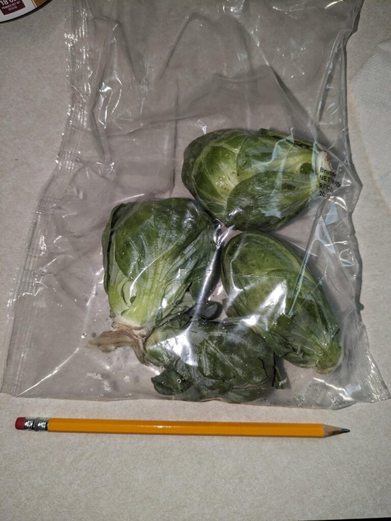 Ginormous Brussels Sprouts