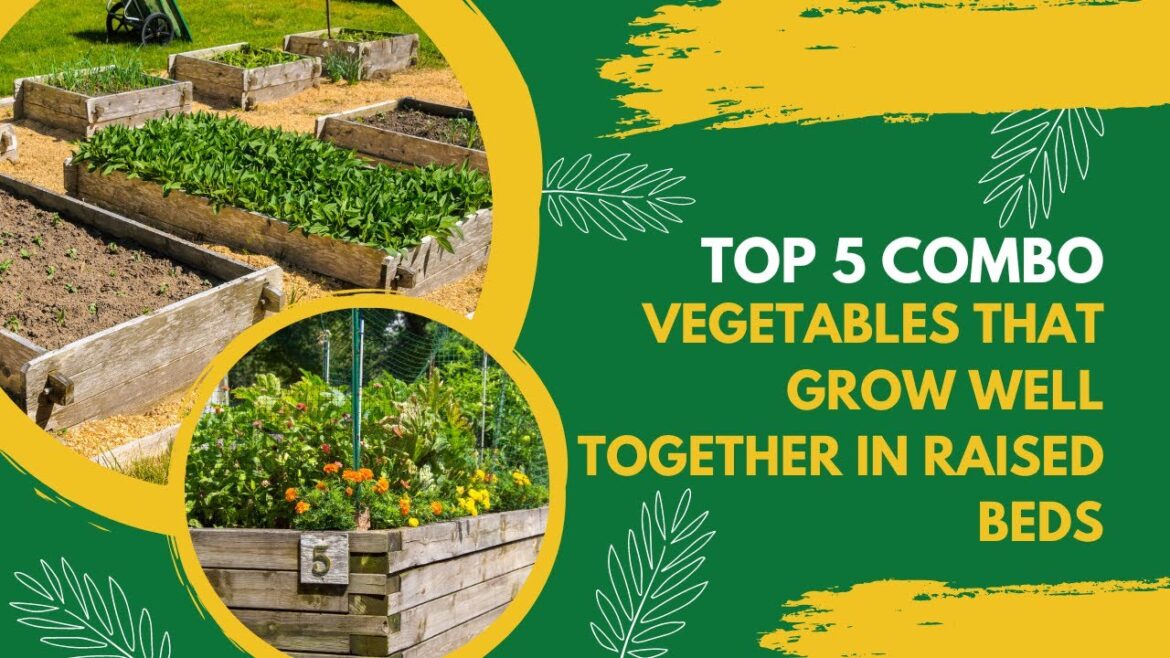 Vegetables That Grow Well Together In Raised Beds | Companion Planting | Vegetable Gardening
