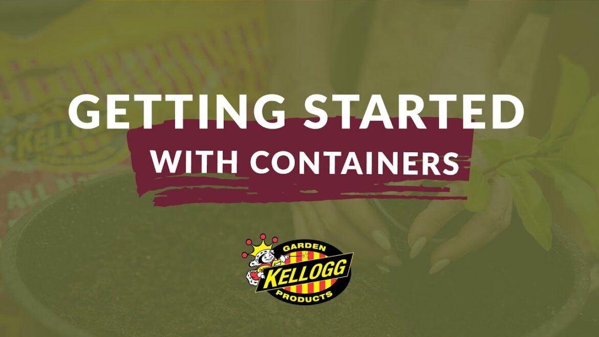 Beginner’s Guide to Vegetable Gardening in Containers Beginner's Guide to Vegetable Gardening in Containers