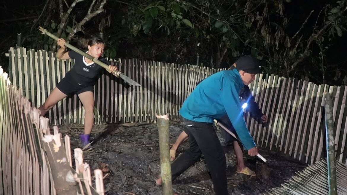 Bad guys break into my house, destroy my vegetable garden, survival alone